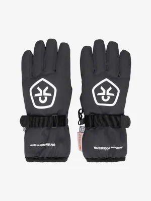 Waterproof Ski Gloves: Phantom