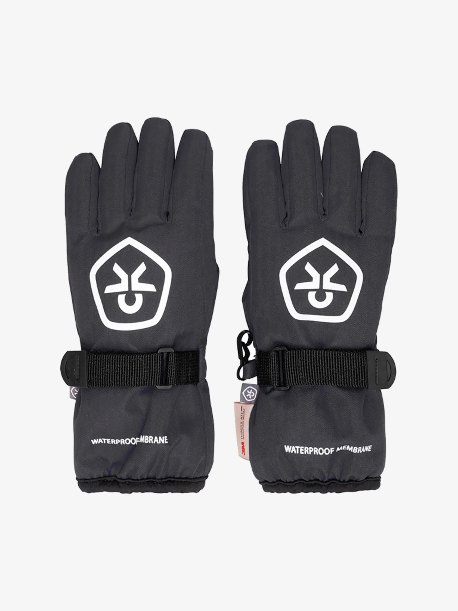 Waterproof Ski Gloves: Phantom